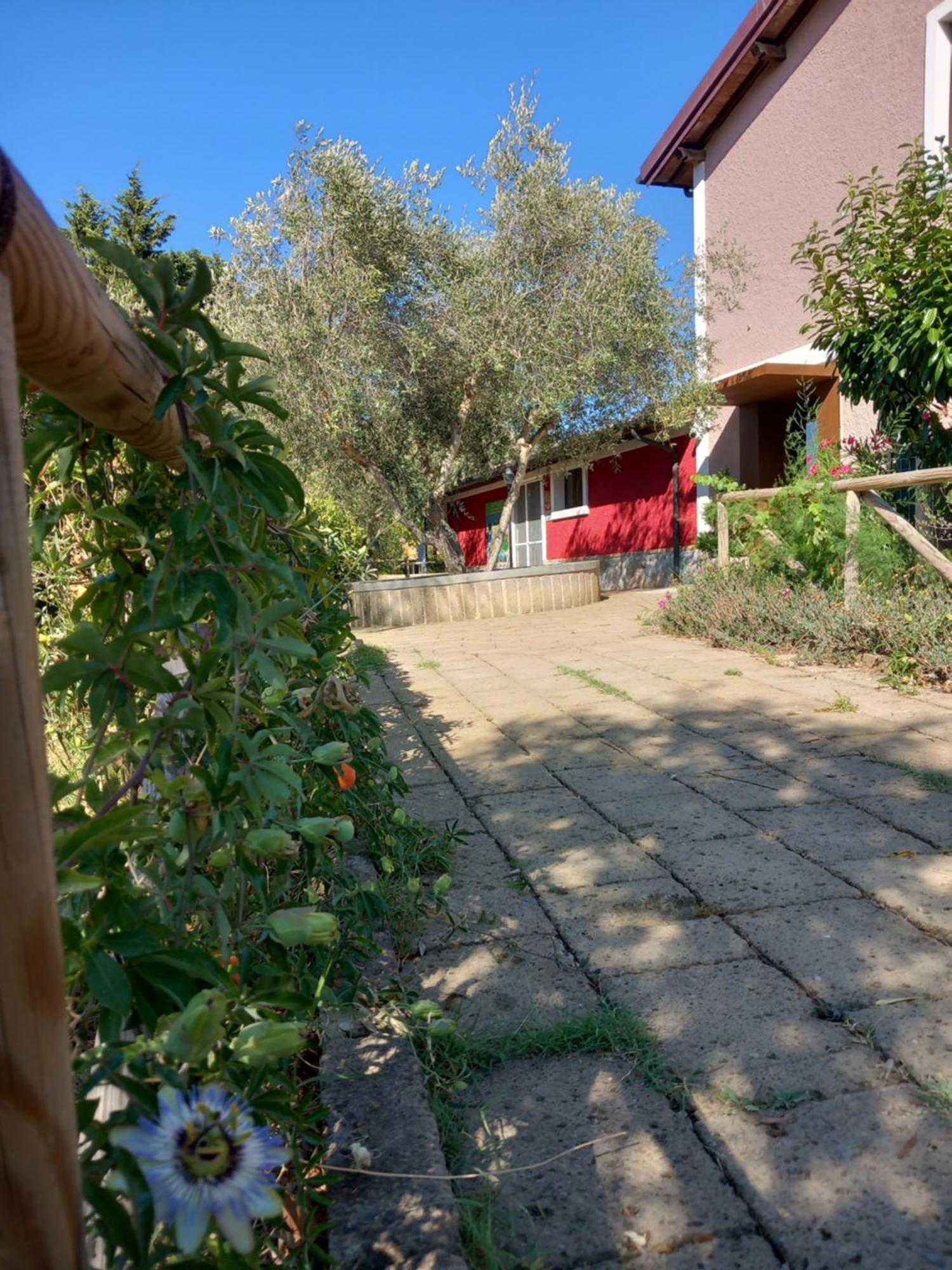 Azienda Agrituristica Le Betulle Риоторто Экстерьер фото