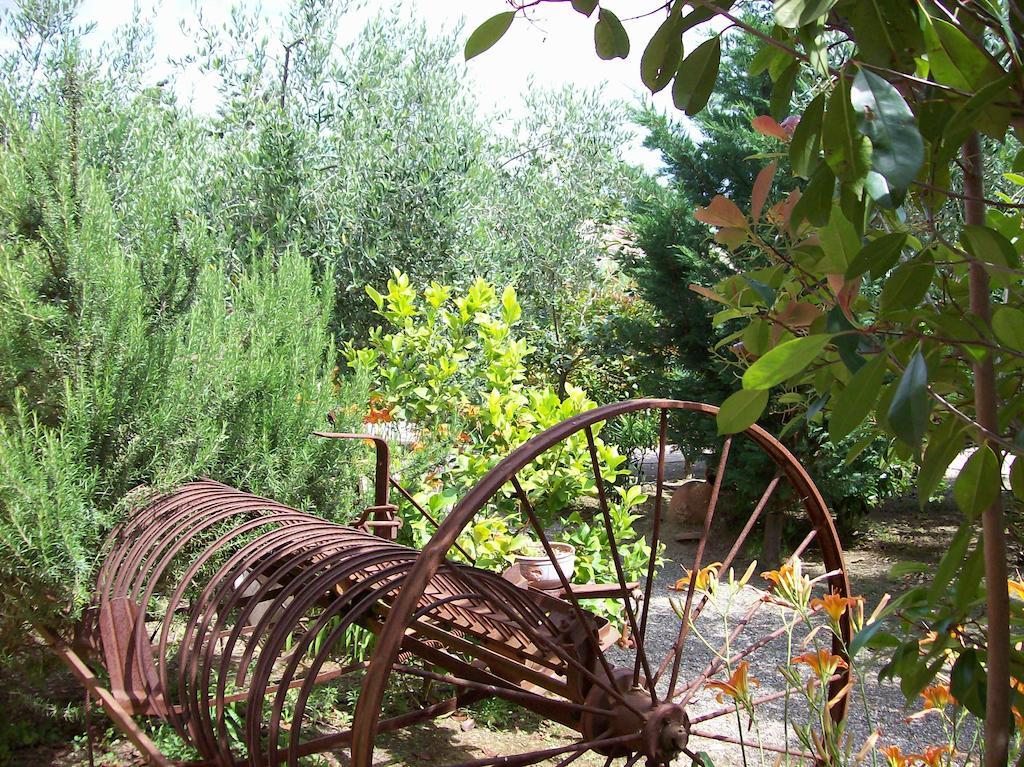 Azienda Agrituristica Le Betulle Риоторто Экстерьер фото