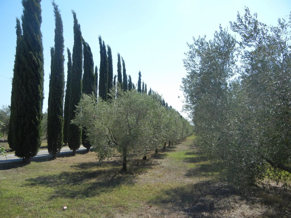 Azienda Agrituristica Le Betulle Риоторто Экстерьер фото